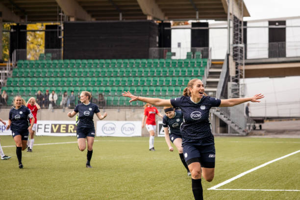 球队在中锋 球队在中锋