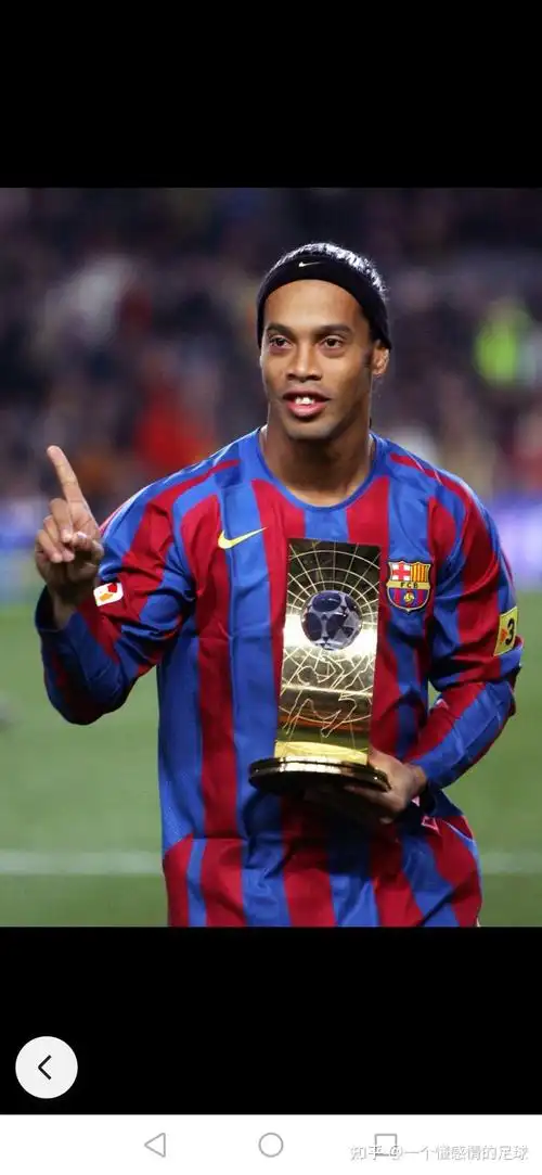 费内巴切若 费内巴切若